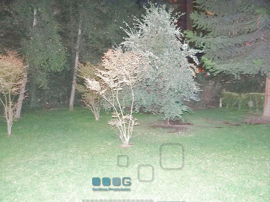 P5889 - P5889-24.jpg