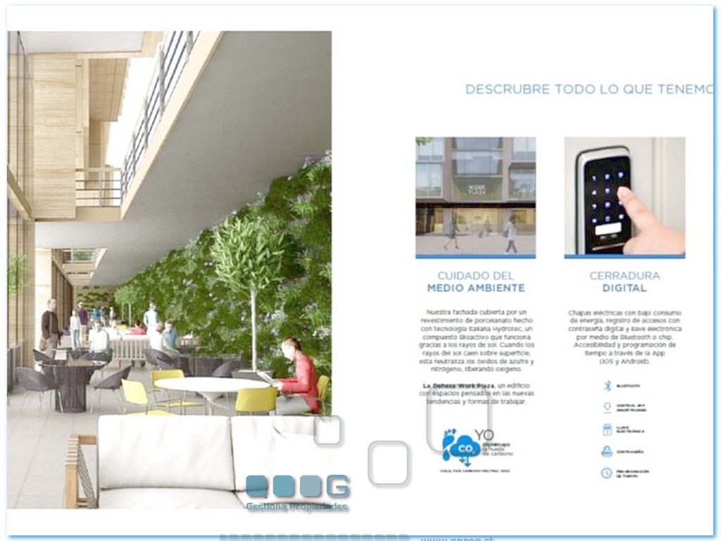 P5895 - P5895-05.jpg