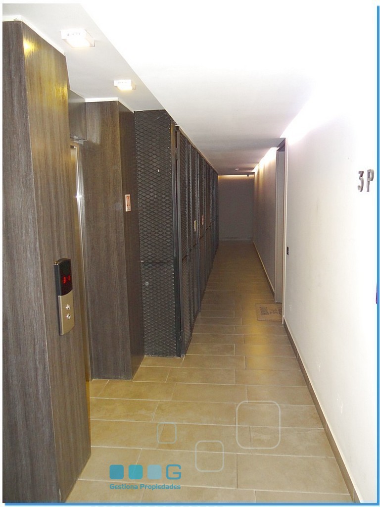 P5923 - P5923-29.jpg