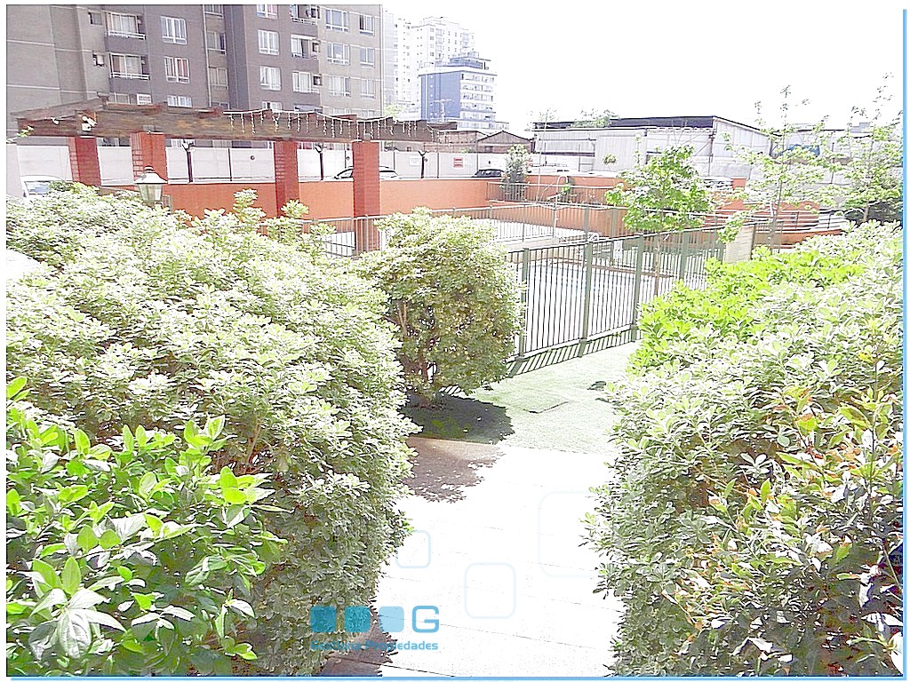 P5935 - P5935-15.jpg