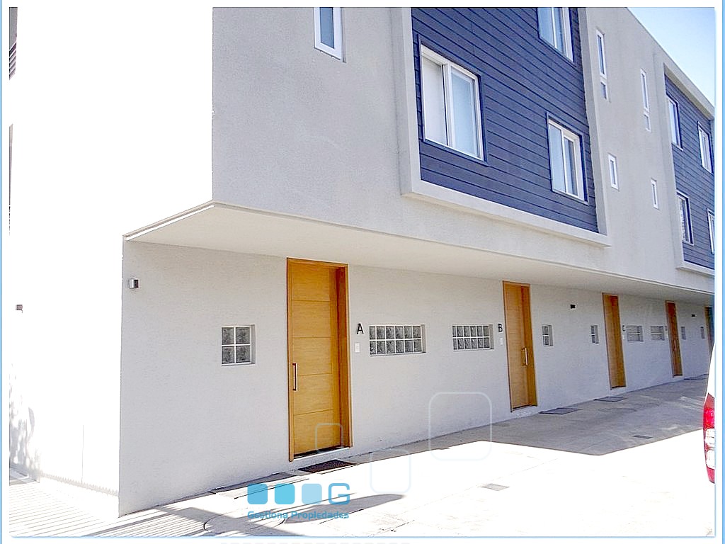 P5938 - P5938-05.jpg