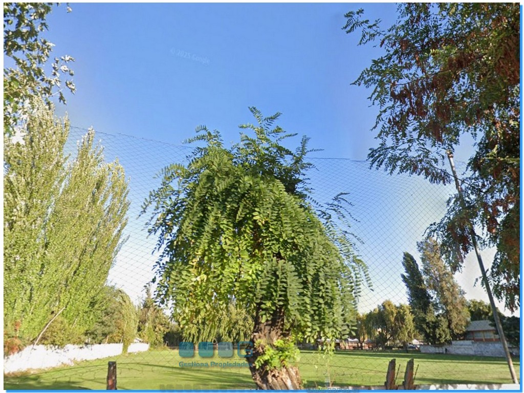 P5947 - P5947-03.jpg