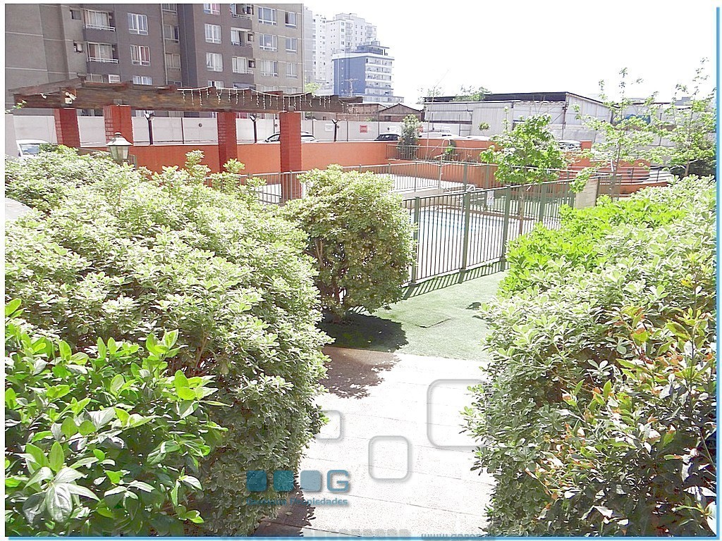 P5991 - P5991-15.jpg